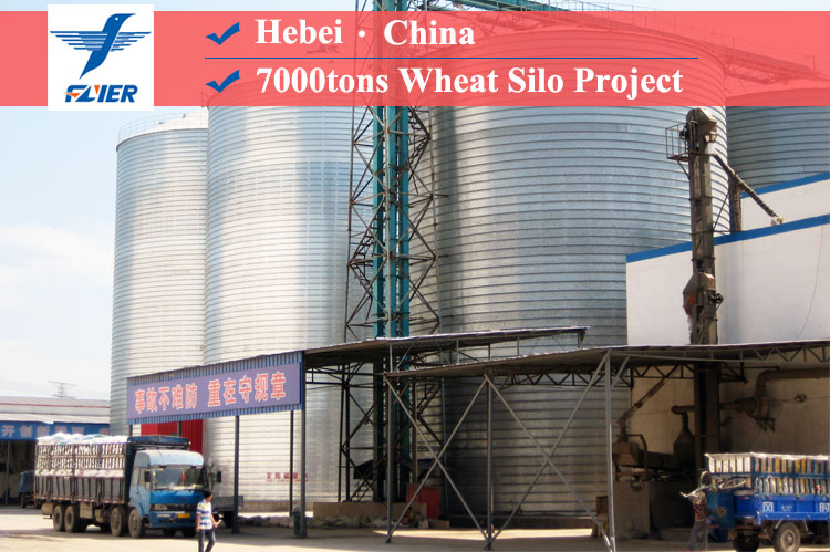 7000tons Wheat Silo Project in Hebei, China