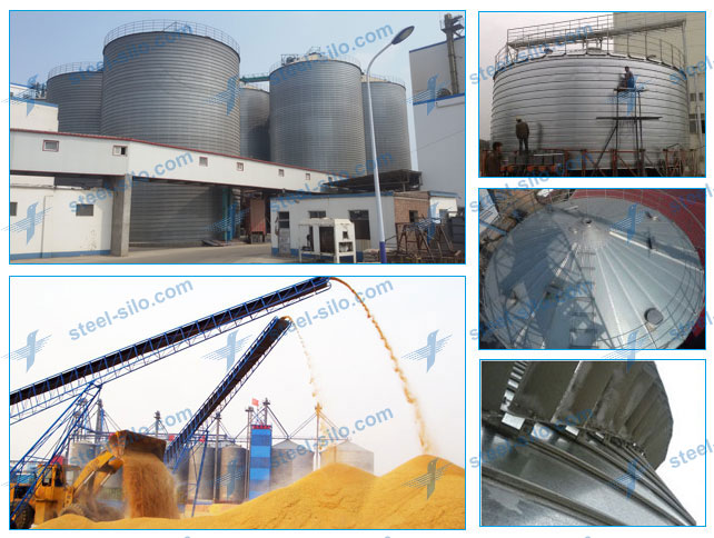 7000tons Wheat Silo Project in China