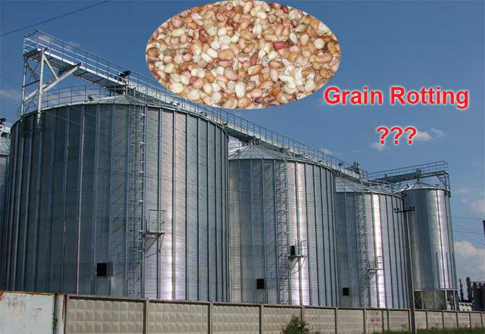 how to prevent grain rotting in steel silo