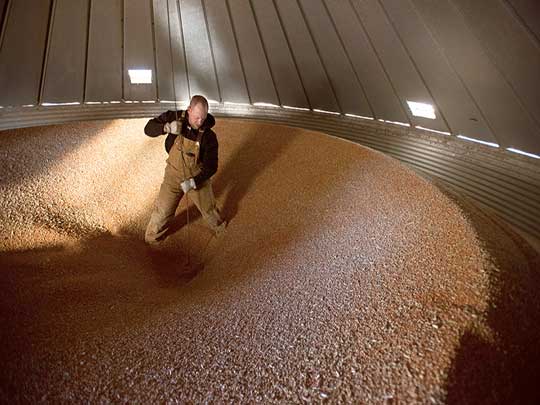 grain in the steel silo