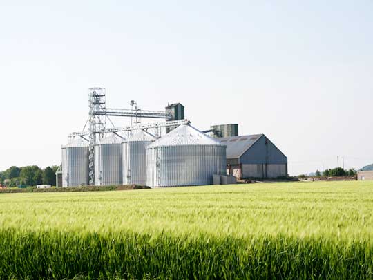 grain silos on the farm
