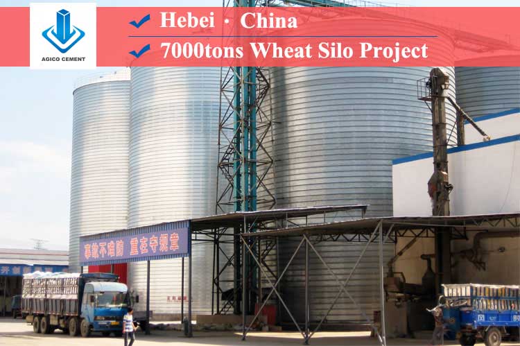 7000 Tons Wheat Silo Project In Hebei, China