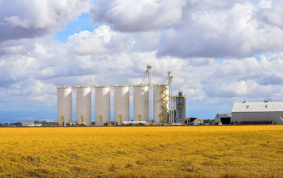 rice storage silos